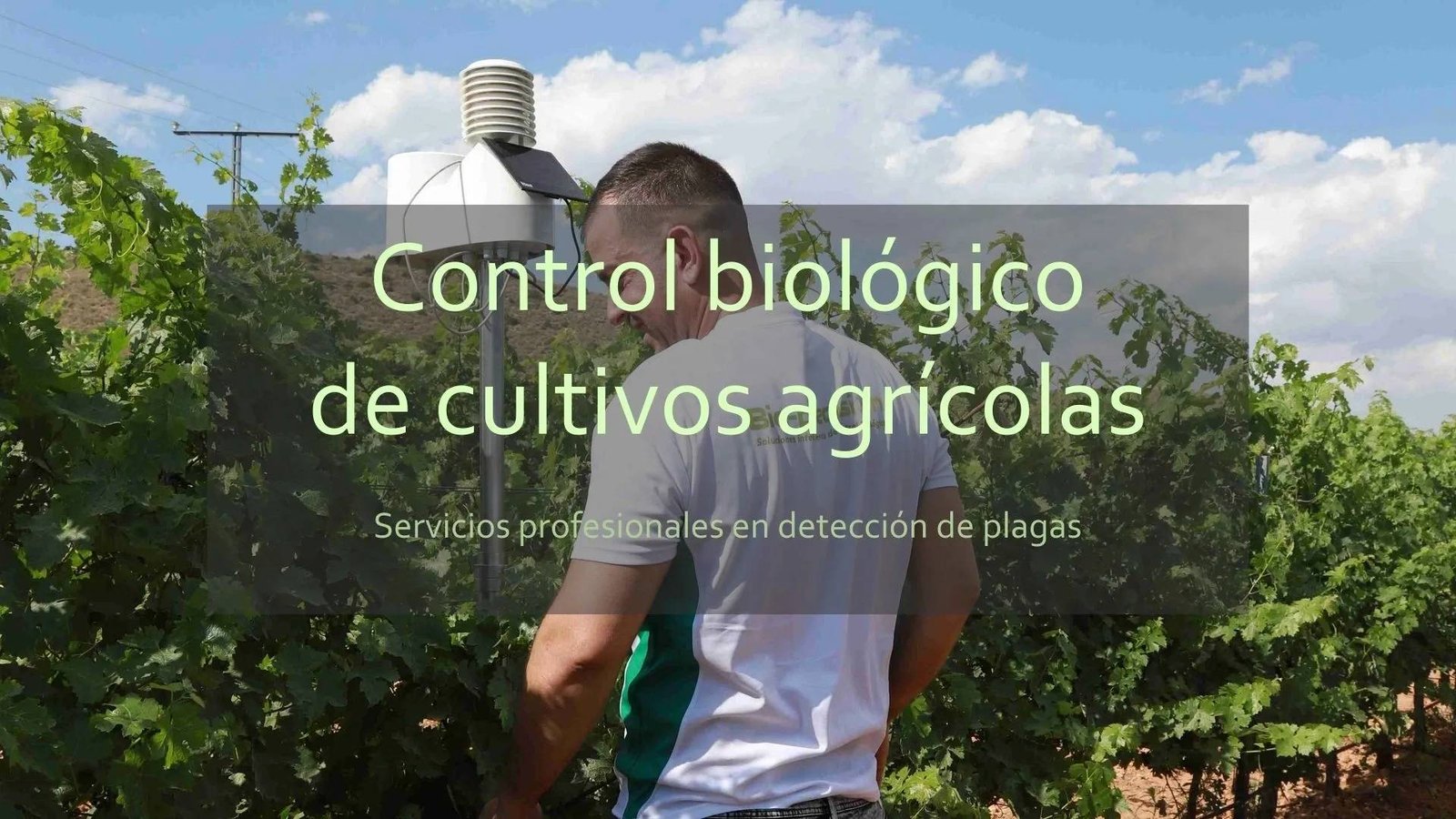 control biologico